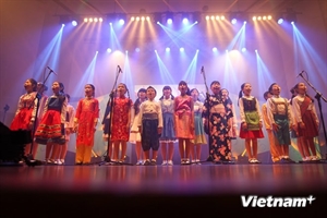 Concert brings together Vietnamese community in RoK
